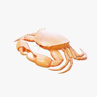 Crab - Static PBR