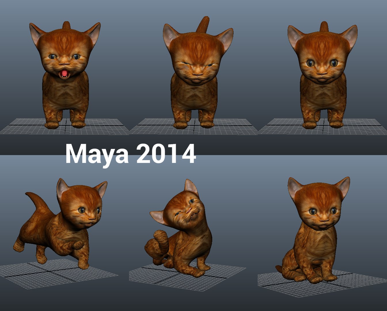 3D Cute Cat Animation Model - TurboSquid 1219596