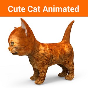 3D cute cat animation model