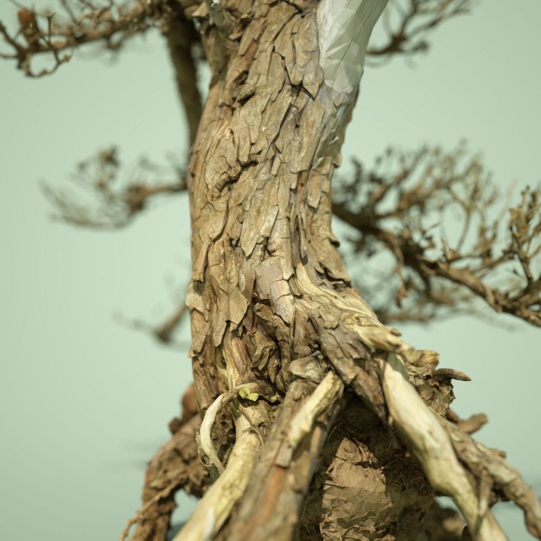 dead forest tree stylised 3D https://p.turbosquid.com/ts-thumb/Tk/apq1bH/Y5l4vUx8/3dphotogrammetrymodelnatureminiaturedeadbonsaitreejapanobj01/jpg/1496076024/1920x1080/fit_q87/b163b0b04354655e17689d9b053211aeada47926/3dphotogrammetrymodelnatureminiaturedeadbonsaitreejapanobj01.jpg
