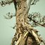 Stylised Dead Tree 3