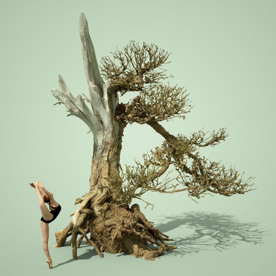 dead forest tree stylised 3D https://p.turbosquid.com/ts-thumb/Tk/apq1bH/xtbKWoJ0/3dphotogrammetrymodelnatureminiaturedeadbonsaitreejapanobj02/jpg/1496076024/1920x1080/fit_q87/10deff779e4d4adc755a84ec296dbb6ba2f2c722/3dphotogrammetrymodelnatureminiaturedeadbonsaitreejapanobj02.jpg
