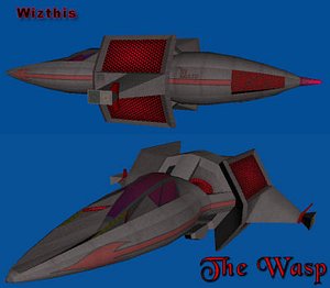 Wasp raider craft
