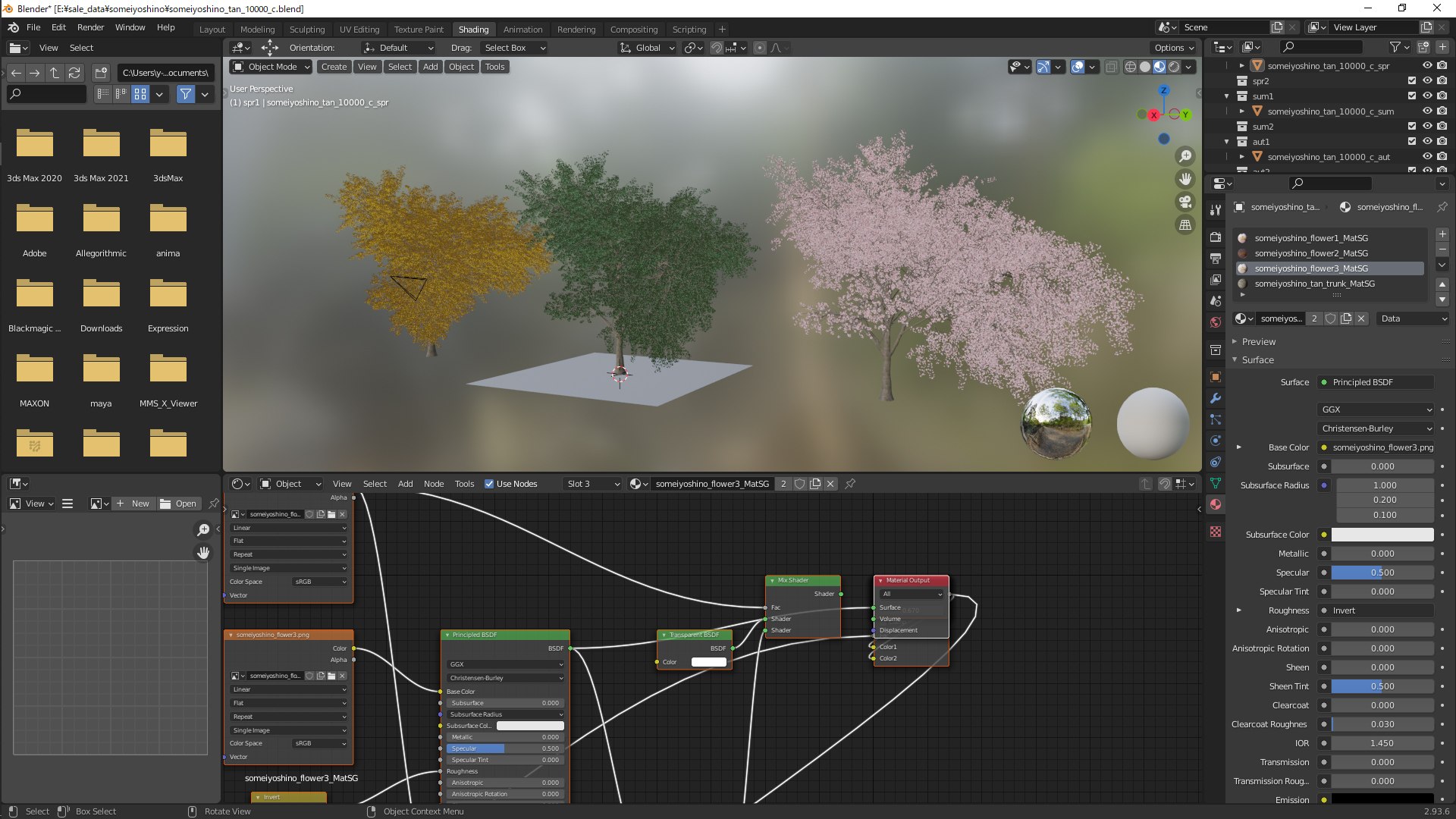 3D Someiyoshino Tan 10000 C Model - TurboSquid 1825315