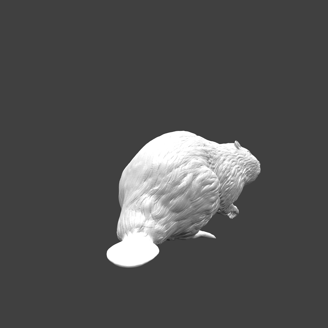 north american beaver 3d obj https://p.turbosquid.com/ts-thumb/Tk/x07LDv/20twffel/beaver0001.jpg5fe9508f578d41cabd505d844d0f084ezoom/jpg/1423152117/1920x1080/turn_fit_q99/6646ad3e4e7809e10a9659a63de927aeec2b54f5/beaver0001.jpg5fe9508f578d41cabd505d844d0f084ezoom-1.jpg