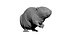 Beaver