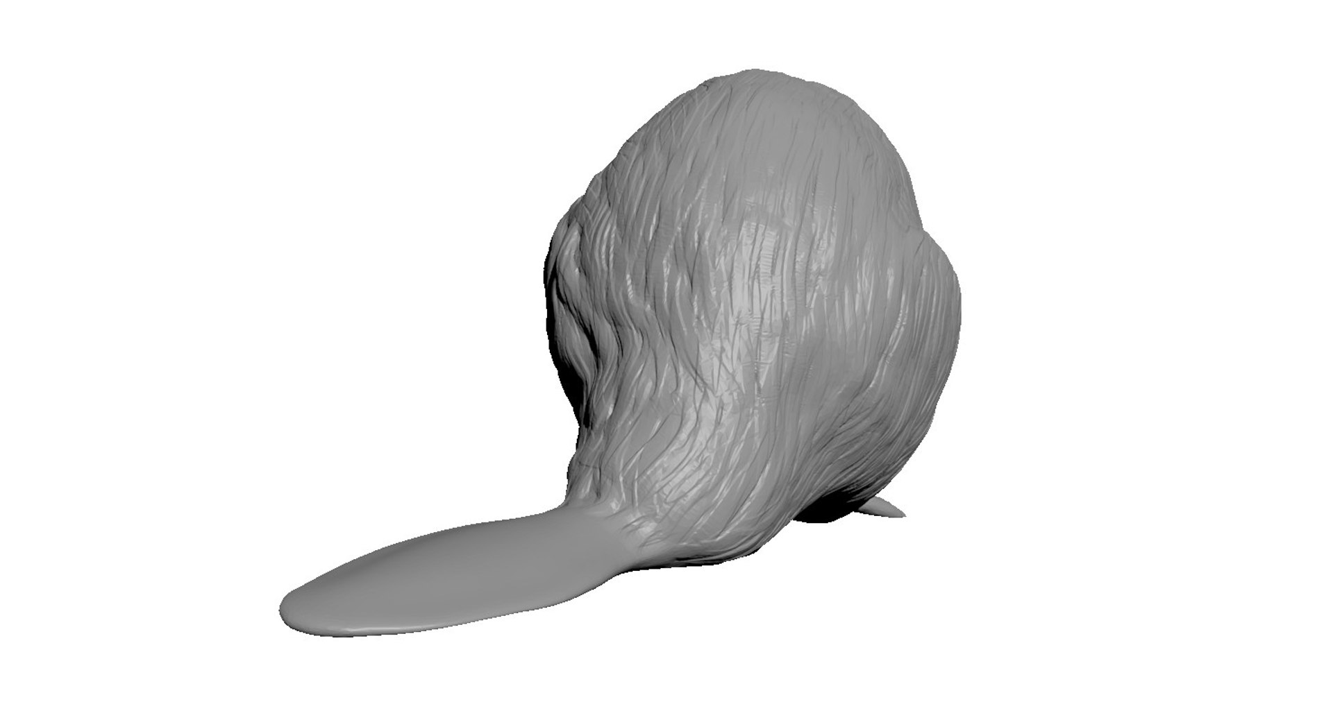 north american beaver 3d obj https://p.turbosquid.com/ts-thumb/Tk/x07LDv/zoVxRjJS/beaver5/jpg/1423150405/1920x1080/fit_q87/b017279ee15aab5a42c0e54e4ee99784e5222294/beaver5.jpg