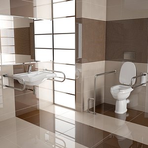 Bathroom for the disabled collection