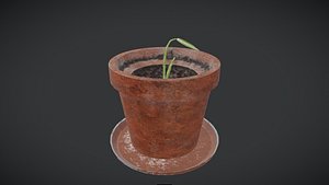 Monstera Plant in Pot 3D model