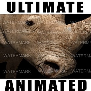 Ultimate Rhino