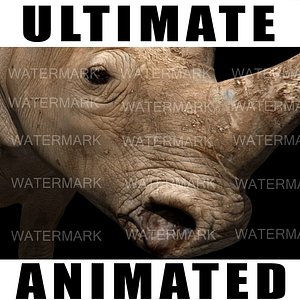 Ultimate Rhino