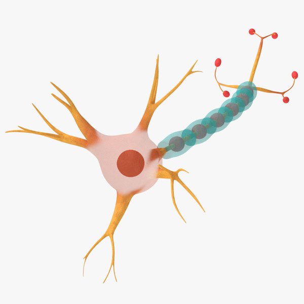 3D model Neuron Cell