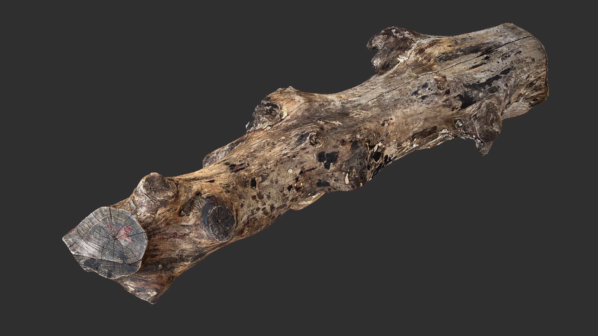 3D 3d Scan Withered Tree Trunk In Highpoly - TurboSquid 2202681