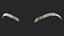 Rounded Brows