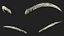 Rounded Brows