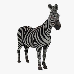 3D Zebra model