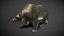 Bear Bronze Statue