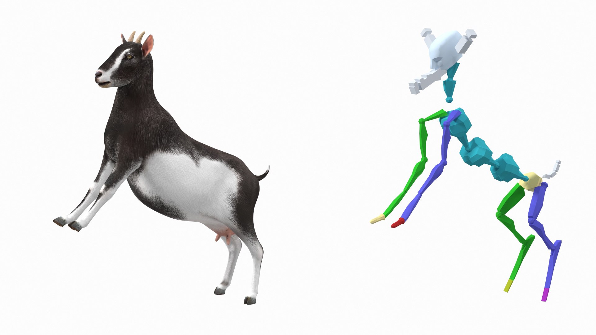 Domestic Goat Rigged 3D Model - TurboSquid 1992128