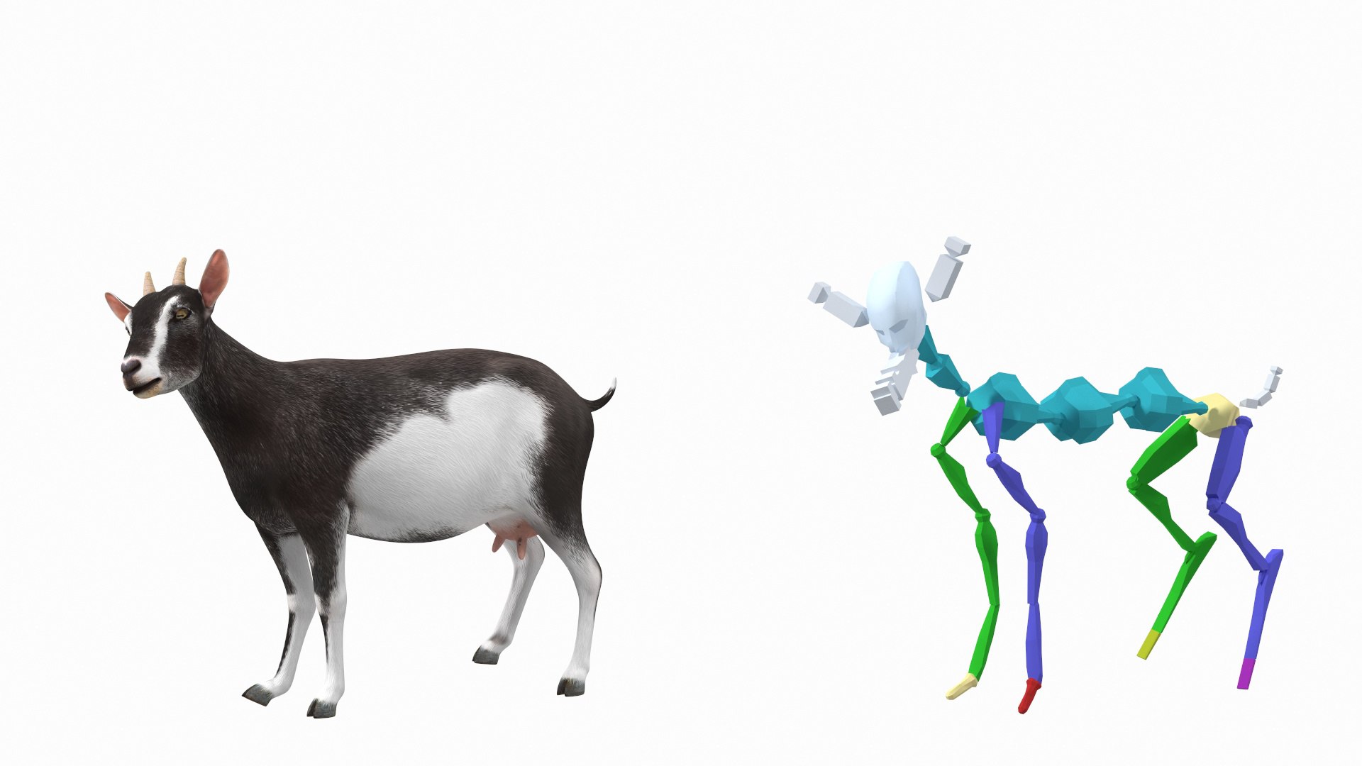 Domestic Goat Rigged 3D Model - TurboSquid 1992128