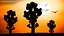 Silueta de árbol pequeño