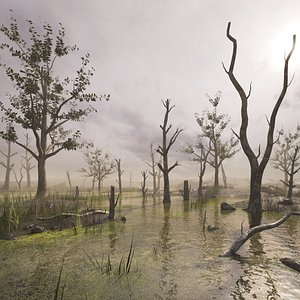 Swamp 3D model