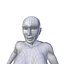 Kobieta 1 61m basemesh