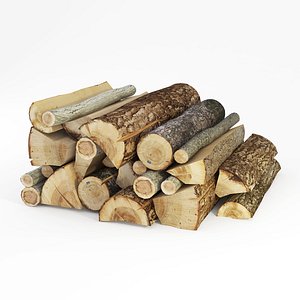 logs