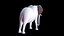 Nice and kind cartoon Elephant character stylized