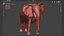 Nice and kind cartoon Elephant character stylized