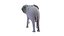 Nice and kind cartoon Elephant character stylized