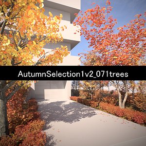 AutumnSelection1v2 3D model