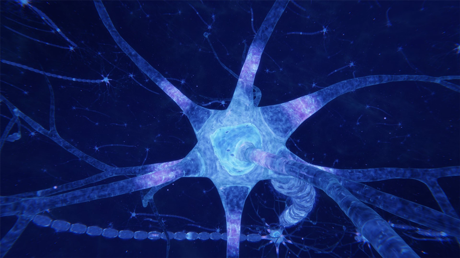 3D neuron transmission https://p.turbosquid.com/ts-thumb/Tn/tUnAyM/0UO9FcKV/preview_003/jpg/1551369382/1920x1080/fit_q87/82878ae560a989294766174f908c69e9d3885b0e/preview_003.jpg