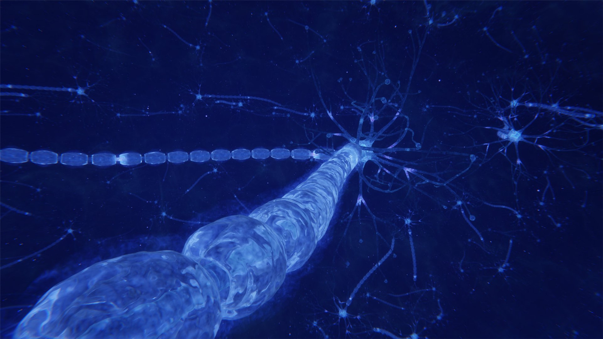 3D neuron transmission https://p.turbosquid.com/ts-thumb/Tn/tUnAyM/5PUKBObK/preview_006/jpg/1551369485/1920x1080/fit_q87/dd63fa5361b8f2a20f439fe149bd4ec58bdf7298/preview_006.jpg