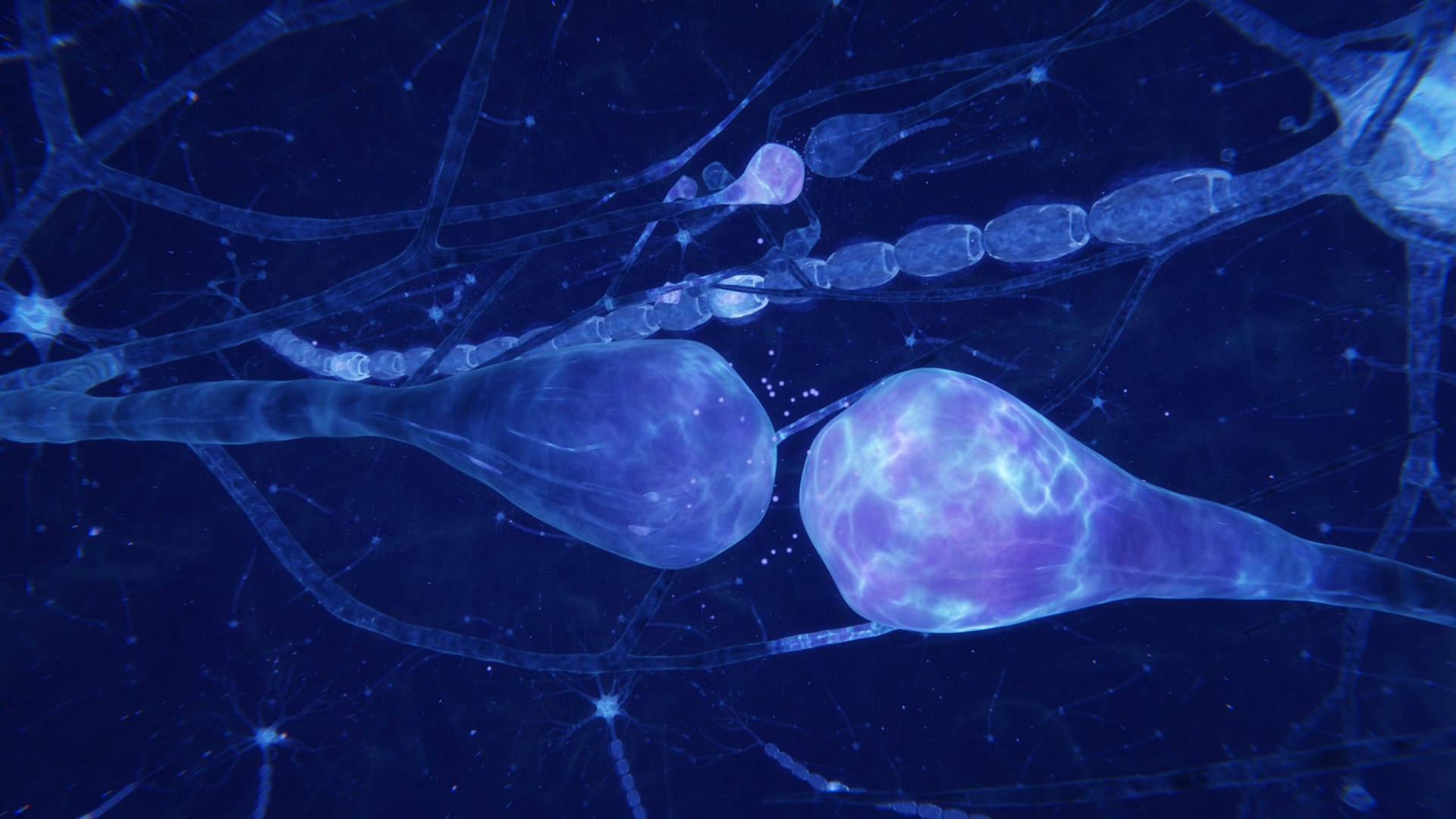3D neuron transmission https://p.turbosquid.com/ts-thumb/Tn/tUnAyM/9apsStsp/preview_011/jpg/1551369656/1920x1080/fit_q87/fe35e0aa5a456dd90644573ae1111f4015569e06/preview_011.jpg