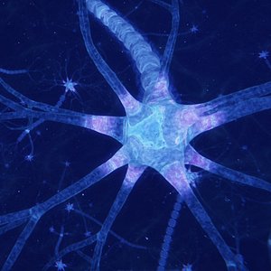 3D neuron transmission