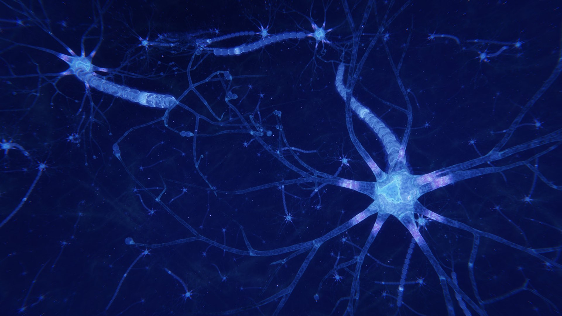 3D neuron transmission https://p.turbosquid.com/ts-thumb/Tn/tUnAyM/HdcxxCcH/preview_016/jpg/1551369936/1920x1080/fit_q87/2a0dfb5bfae7f7de36d25098c795b8f7a9ad1246/preview_016.jpg