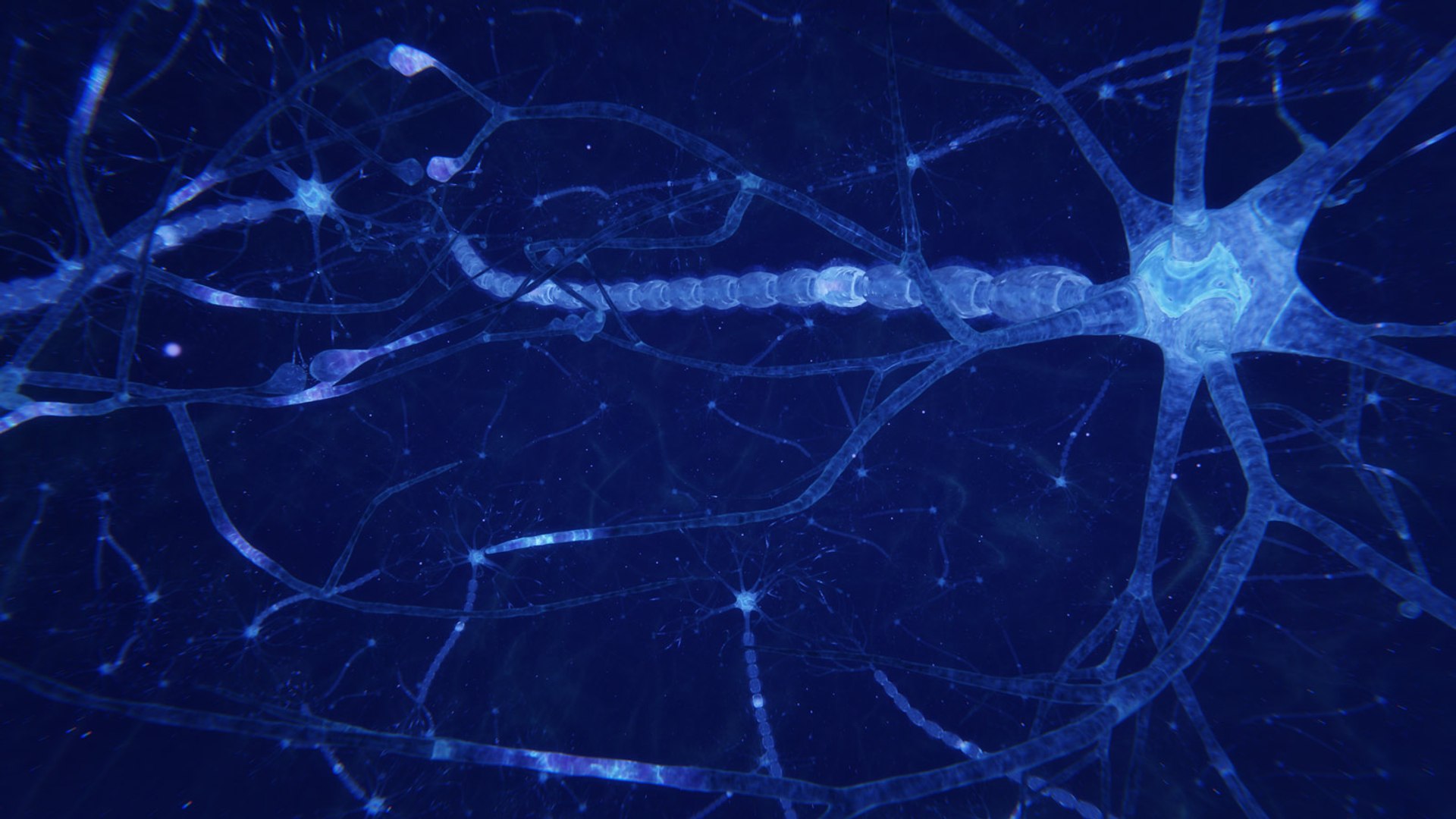 3D neuron transmission https://p.turbosquid.com/ts-thumb/Tn/tUnAyM/ToS82Cmq/preview_013/jpg/1551369696/1920x1080/fit_q87/c44de799040d3111e6e552ef8fdde729697f47c3/preview_013.jpg