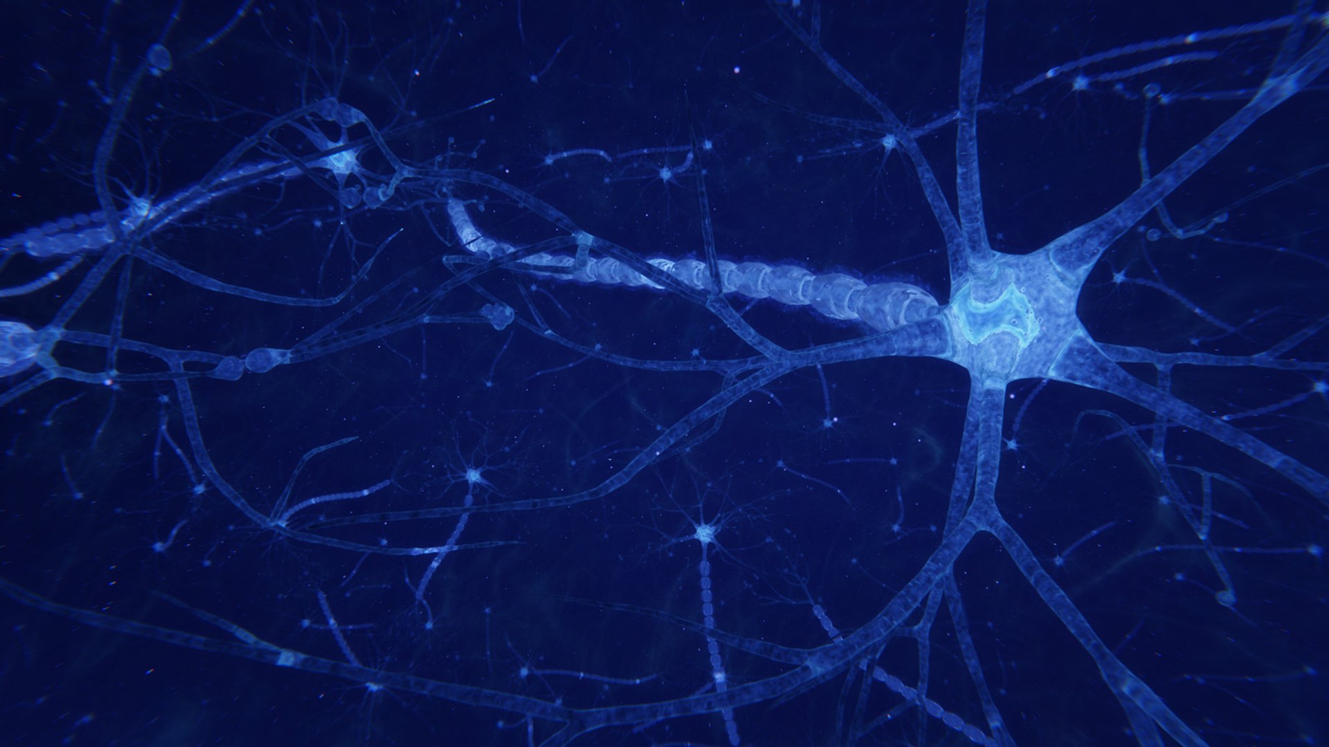 3D neuron transmission https://p.turbosquid.com/ts-thumb/Tn/tUnAyM/Uf51iuR1/preview_014/jpg/1551369725/1920x1080/fit_q87/0591d4b9db3d47327b72523fe3d4e623da4d412d/preview_014.jpg