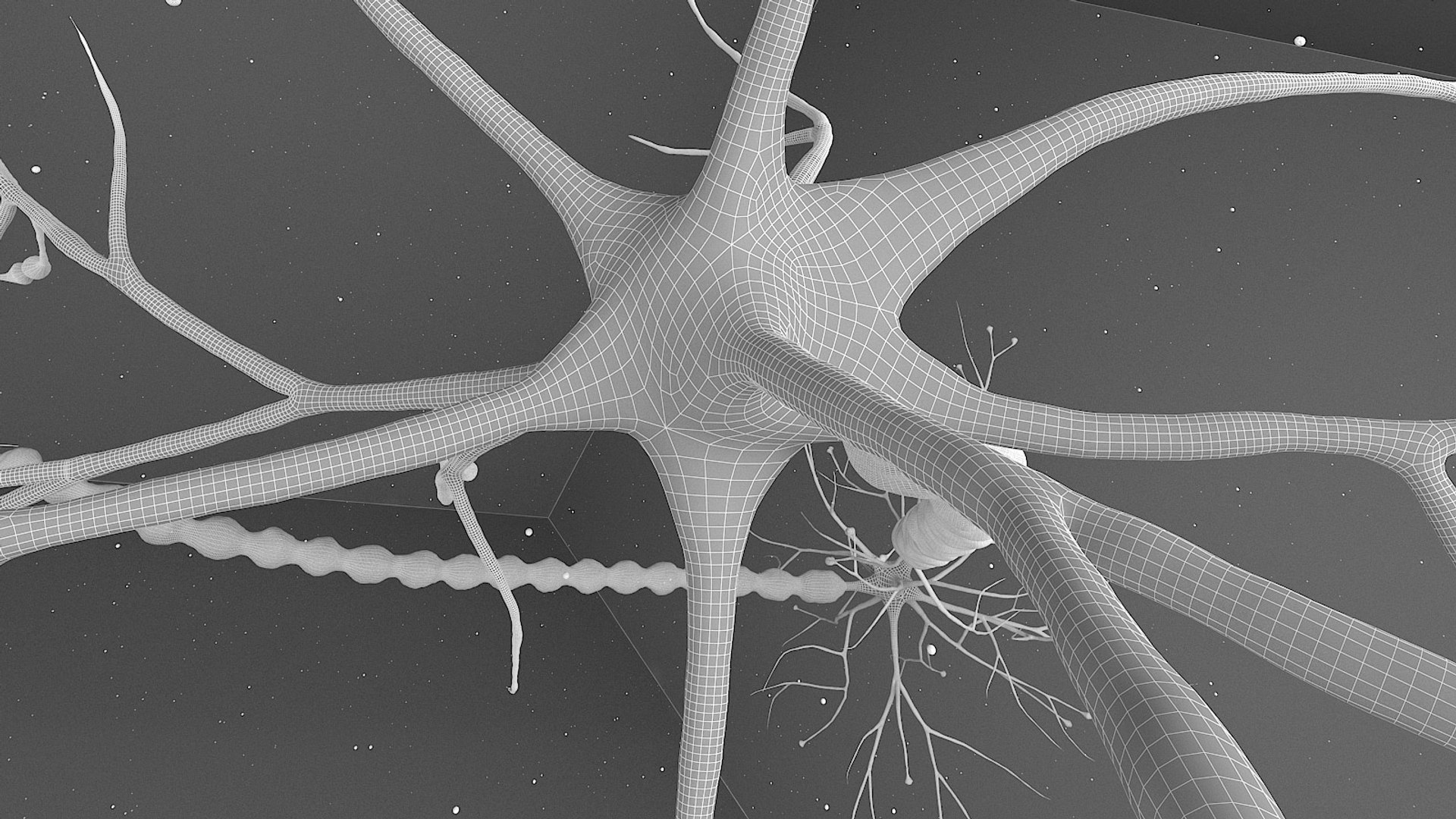 3D neuron transmission https://p.turbosquid.com/ts-thumb/Tn/tUnAyM/WxgcePKA/preview_019/jpg/1551371938/1920x1080/fit_q87/ca1182a0dbd989bb2954a61e256c4407b5ef9df6/preview_019.jpg