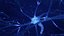 Neuron