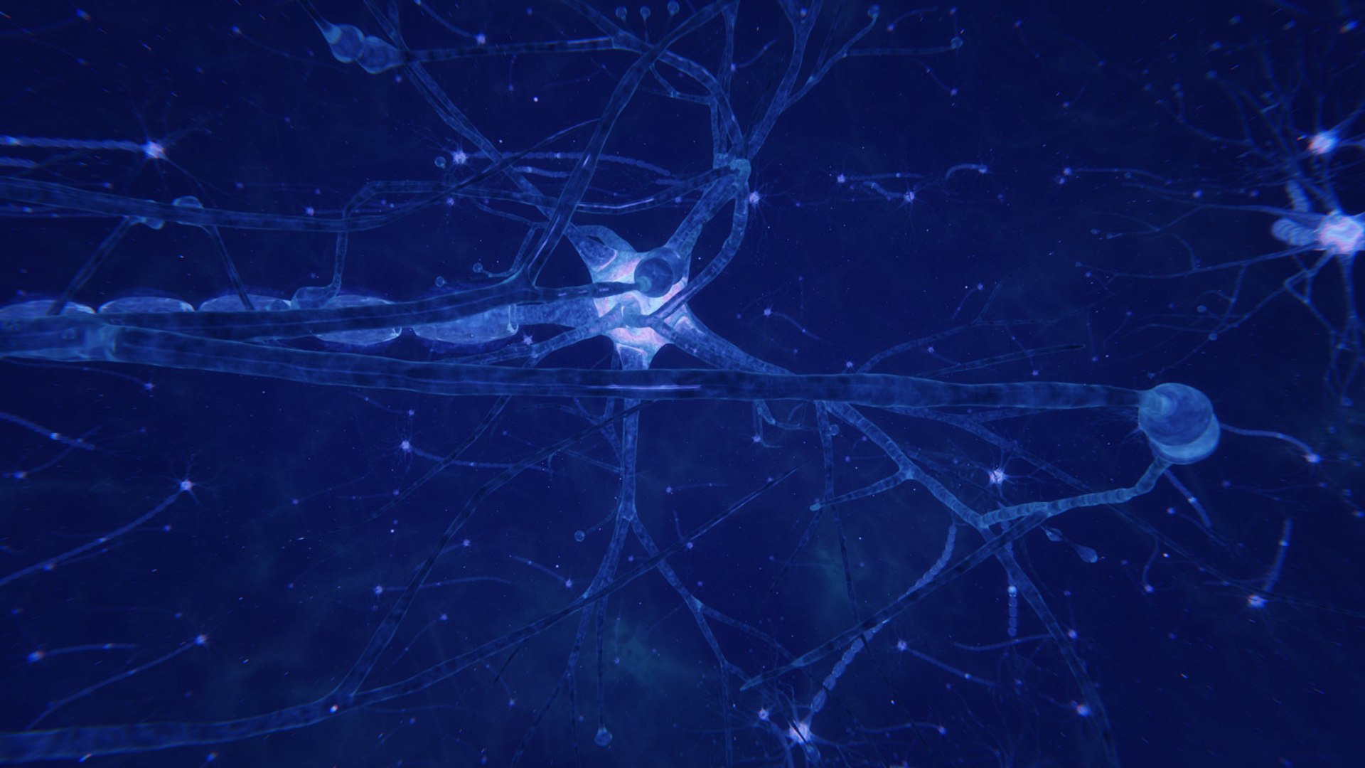 3D neuron transmission https://p.turbosquid.com/ts-thumb/Tn/tUnAyM/b9hm3tsa/preview_008/jpg/1551369518/1920x1080/fit_q87/a6c19ab46fb800d5d6cacb0b41fcb0b6ff271626/preview_008.jpg