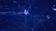 Neuron