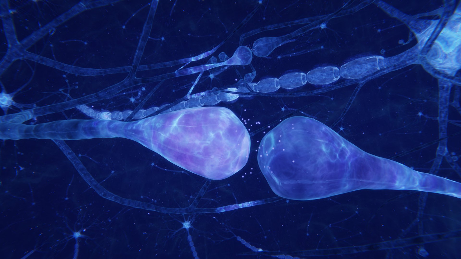 3D neuron transmission https://p.turbosquid.com/ts-thumb/Tn/tUnAyM/cCMhoyNR/preview_010/jpg/1551369616/1920x1080/fit_q87/27f1deebce2452fd17eecc04bdebc660f61c1955/preview_010.jpg