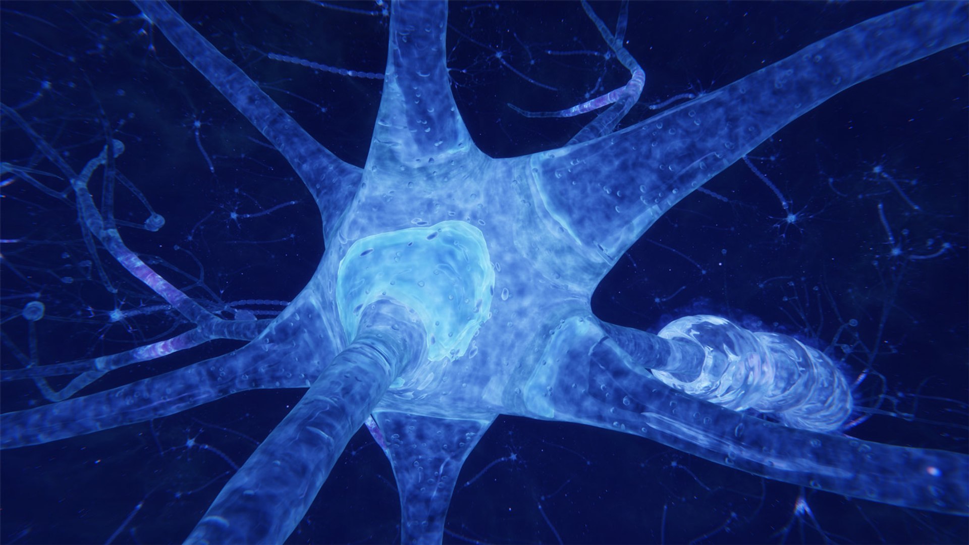 3D neuron transmission https://p.turbosquid.com/ts-thumb/Tn/tUnAyM/cIQyUOKR/preview_004/jpg/1551369423/1920x1080/fit_q87/699550c11d3bbb39467fec380ddb8b428a717e16/preview_004.jpg