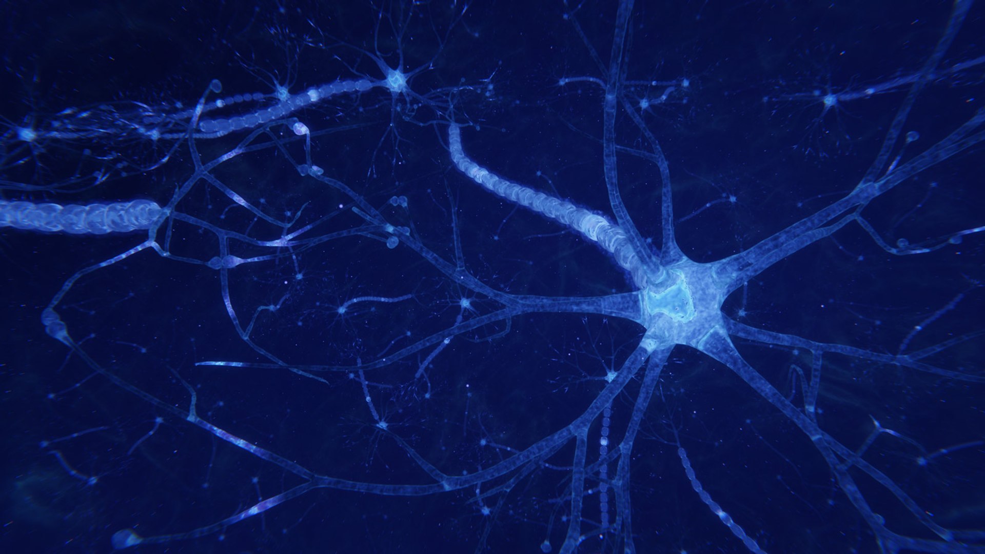 3D neuron transmission https://p.turbosquid.com/ts-thumb/Tn/tUnAyM/gDbQVvkL/preview_015/jpg/1551369922/1920x1080/fit_q87/b961810cc769e82c392e0c2c5ac9d7fd5573c0b5/preview_015.jpg