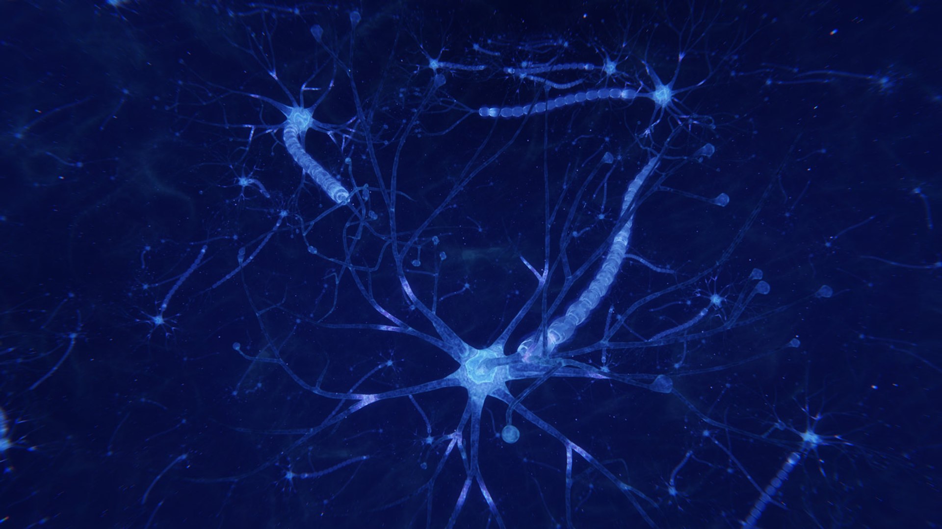 3D neuron transmission https://p.turbosquid.com/ts-thumb/Tn/tUnAyM/jeYvWTKx/preview_018/jpg/1551369967/1920x1080/fit_q87/db1041ec36dd304463ecf80fb4ab27210503a8c5/preview_018.jpg
