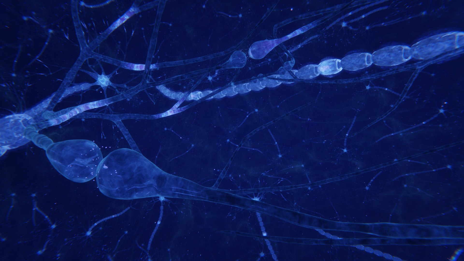 3D neuron transmission https://p.turbosquid.com/ts-thumb/Tn/tUnAyM/oYqHuYtH/preview_012/jpg/1551369675/1920x1080/fit_q87/2f3b5ab4d5851edd60e361837b2b109d02f91893/preview_012.jpg