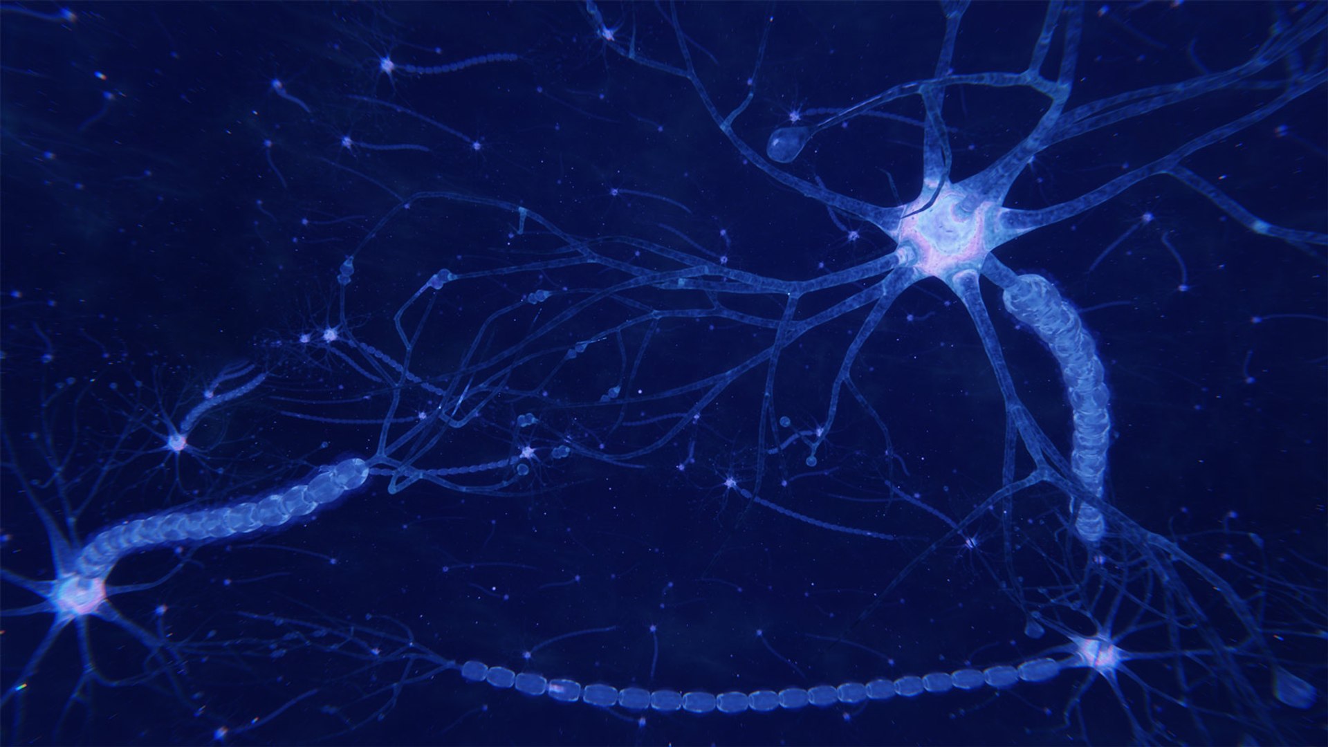 3D neuron transmission https://p.turbosquid.com/ts-thumb/Tn/tUnAyM/pbnEDlsK/preview_001/jpg/1551369109/1920x1080/fit_q87/bbded2ae8ea518a367a0a842938a12a7279c5fde/preview_001.jpg