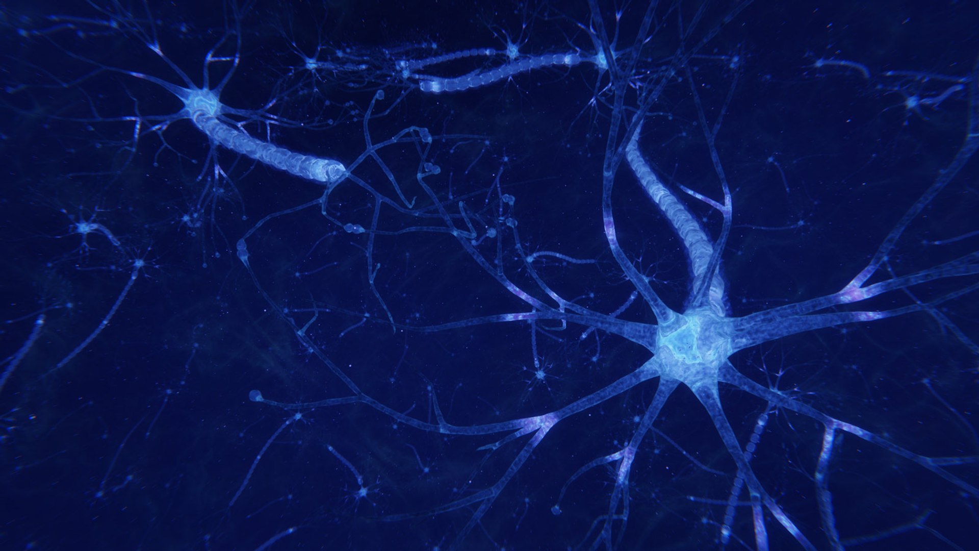 3D neuron transmission https://p.turbosquid.com/ts-thumb/Tn/tUnAyM/xVIXwlNH/preview_017/jpg/1551369951/1920x1080/fit_q87/ec5d2f4c0ca0b3326086a212c214bc51ca3f3c26/preview_017.jpg