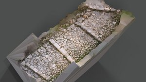 Abandoned Village Surface Scan - Pavement 01 3D